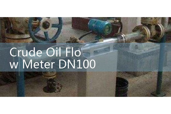 Crude Oil Flow Meter DN100 Multi-Phase Extraction Alignment